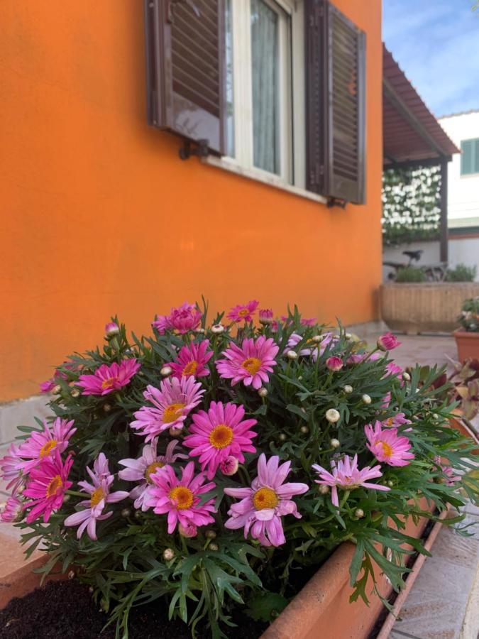 Casa Mare Al Circeo Βίλα San Felice Circeo Εξωτερικό φωτογραφία